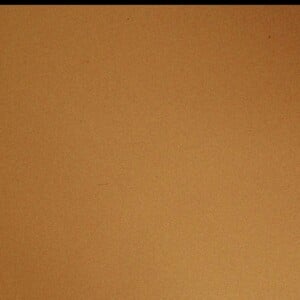 ARCHIVES - LA CHANTEUSE BARBARA SUR SCENE - PREMIERE DU SPECTACLE " LILY PASSION " AU ZENITH A PARIS EN 1986 28/01/1986 - Paris