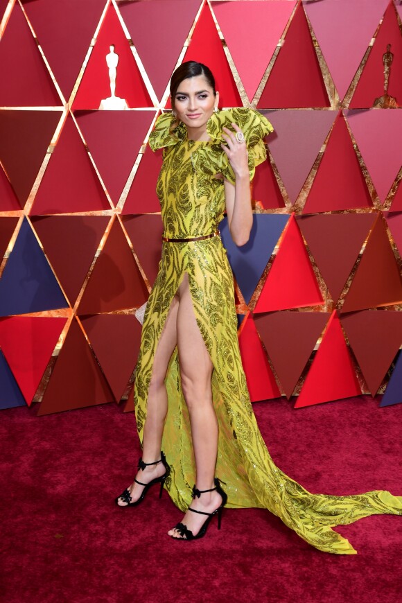 Blanca Blanco en montre un peu trop sur le tapis rouge des Oscars au Dolby Theatre, Los Angeles, le 27 février 2016.