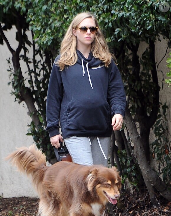 Amanda Seyfried (enceinte de son premier enfant) promène son chien dans les rues de Los Angeles. Le 21 février 2017
