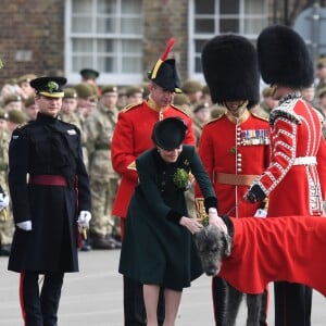 Kate a distribué les bouquets de trèfles, sans oublier bien sûr Domhnall, mascotte du régiment. Le prince William et la duchesse Catherine de Cambridge ont assisté à la parade de la Saint-Patrick et distribué le trèfle porte-bonheur aux membres des Irish Guards aux Cavalry Barracks du régiment à Hounslow, dans l'ouest de Londres, le 17 mars 2017.