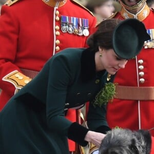 Kate a distribué les bouquets de trèfles, sans oublier bien sûr Domhnall, mascotte du régiment. Le prince William et la duchesse Catherine de Cambridge ont assisté à la parade de la Saint-Patrick et distribué le trèfle porte-bonheur aux membres des Irish Guards aux Cavalry Barracks du régiment à Hounslow, dans l'ouest de Londres, le 17 mars 2017.