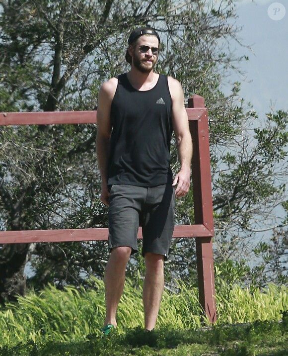 Exclusif - Miley Cyrus et son fiancé Liam Hemsworth sont allés se balader en amoureux sur les hauteurs de Los Angeles, le 16 mars 2017 