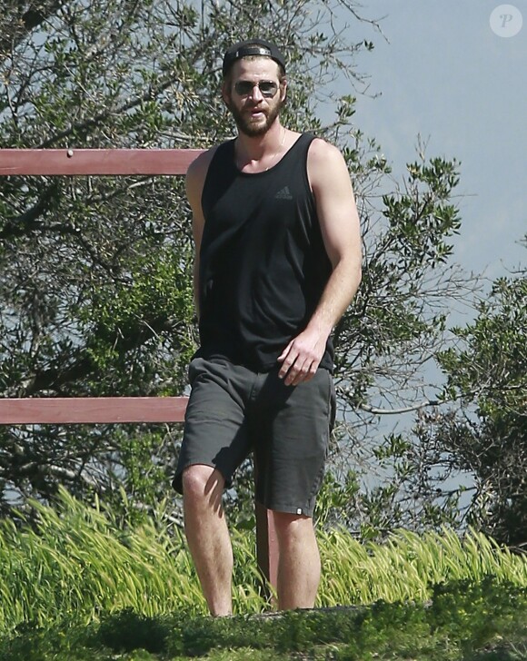 Exclusif - Miley Cyrus et son fiancé Liam Hemsworth sont allés se balader en amoureux sur les hauteurs de Los Angeles, le 16 mars 2017 