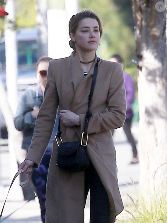 Amber Heard promène ses chiens et déjeune avec une amie à Los Feliz, le 26 janvier 2017