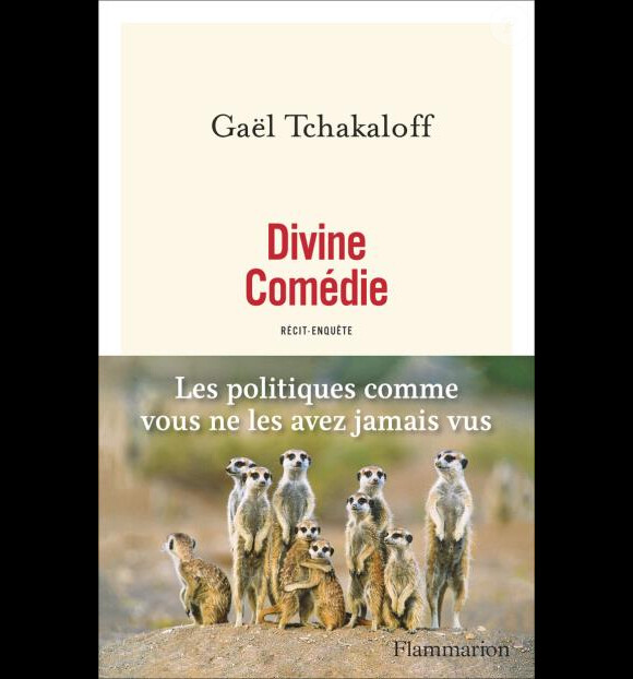"Divine comédie", de Gaël Tchakaloff (édition Flammarion), paru le 29 mars 2017 
 