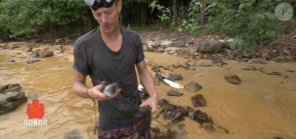 - "Koh-Lanta Cambodge", le 7 avril 2017 sur TF1.