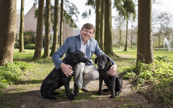 Portrait officiel du roi Willem Alexander des Pays-Bas avec ses deux chiens, Skipper et Nala, réalisé le 5 avril 2017 à son domicile, la Villa Eikenhorst à Wassenaar, et révélé pour son 50e anniversaire le 27 avril 2017.