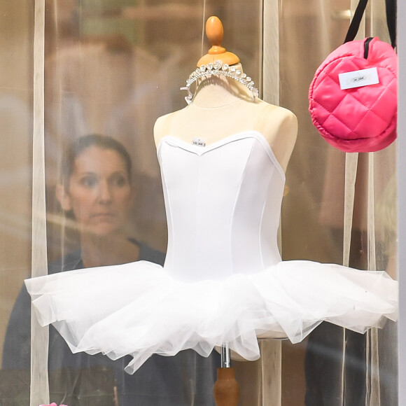 Céline Dion à la boutique Stanlowa à Paris, le 27 juin 2017.