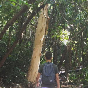 Simon Castaldi en vacances en Australie. Juillet 2017