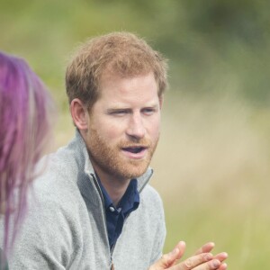 Le prince Harry rencontre les bénéficiaires du "Chatham Green Project", une initiative de la fondation Wilderness, à Chatham Green le 14 septembre 2017.