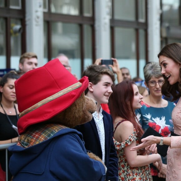 La duchesse Catherine de Cambridge, enceinte, le prince William et le prince Harry participaient le 16 octobre 2017 en gare de Paddington à un événement organisé par le Charities Forum, qui regroupe une trentaine d'associations qu'ils soutiennent, et par le fonds de la BAFTA que préside le duc de Cambridge. En présence de l'équipe du film Paddington 2, une centaine d'enfants choisis ont quitté leur quotidien difficile pour faire un beau voyage à bord d'un train mythique, le Belmond British Pullman.