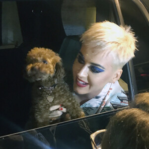 Exclusif - Katy Perry et son chien Nugget à la sortie de son concert au Bell Center Arena, dans le cadre de sa tournée "Witness Tour", à Montréal, le 20 septembre 2017.