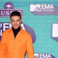 Liam Payne sur le tapis rouge des MTV Europe Music Awards 2017 au SSE Arena, Londres, le 12 novembre 2017.