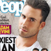 Adam Levine est l'homme le plus sexy de 2013