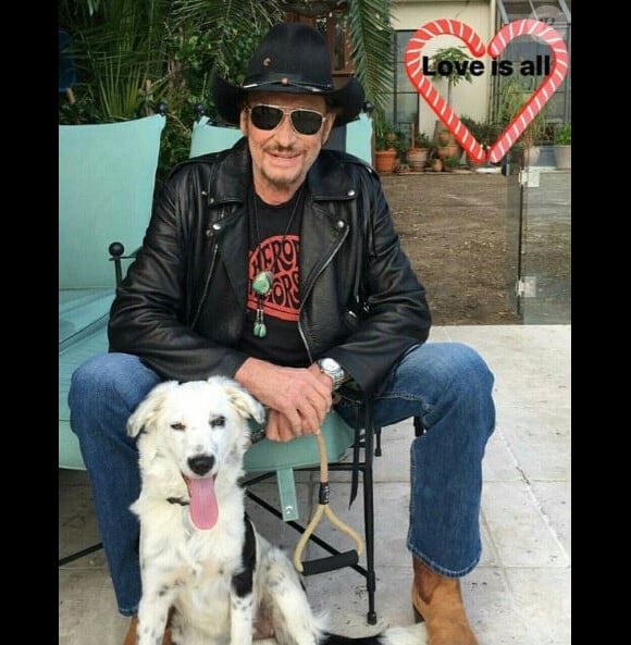 Johnny Hallyday publie une photo avec sa chienne Cheyenne sur Instagram le 21 novembre 2017, deux jours après la fin de son hospitalisation.