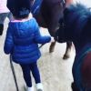 Carla Bruni-Sarkozypublie une vidéo de sa fille Giulia, 6 ans, lors de sa première leçon de poney. Instagram, le 22 novembre 2017.