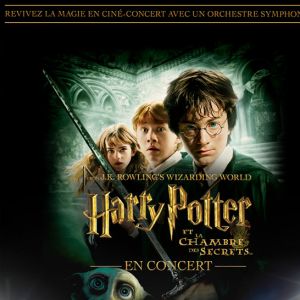 Harry Potter 2 en concert à Paris : Harry Potter et la Chambre des Secrets (16 et 17 décembre 2017)
