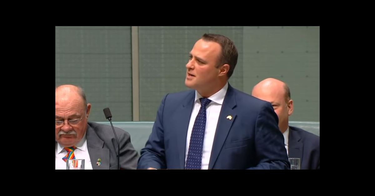 Tim Wilson : Le député australien demande son chéri en ...
Tim Wilson Memes