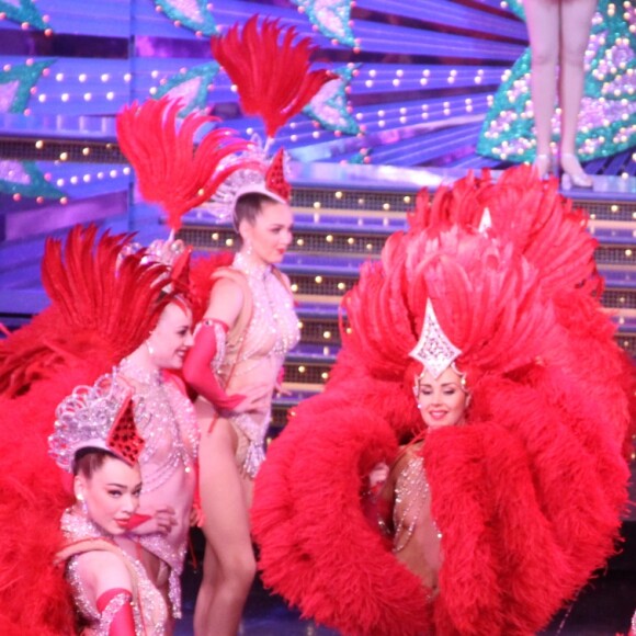 Exclusif - Illustration - 23e édition des Trophées de la Nuit au Moulin Rouge à Paris, le 5 décembre 2017. © Baldini/Bestimage
