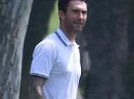 Adam Levine empoche 18 millions en vendant sa sublime villa !