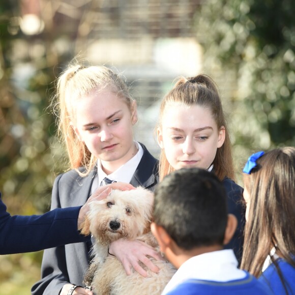 Catherine Kate Middleton (enceinte), duchesse de Cambridge, visite l'école "Reach Academy" à Feltham le 10 janvier 2018.