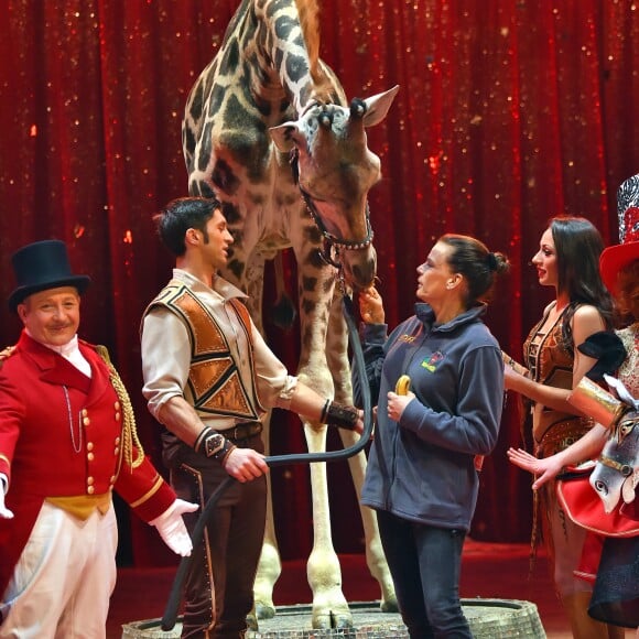 La princesse Stéphanie de Monaco, la girafe de Joseph Richter, la troupe Bingo, le duo Ballance, et M. Loyal alias Petit Gougou lors du photocall de présentation du 42ème Festival International du Cirque de Monte-Carlo sous le chapiteau de Fontvieille le 16 janvier 2018. © Bruno Bebert / Bestimage