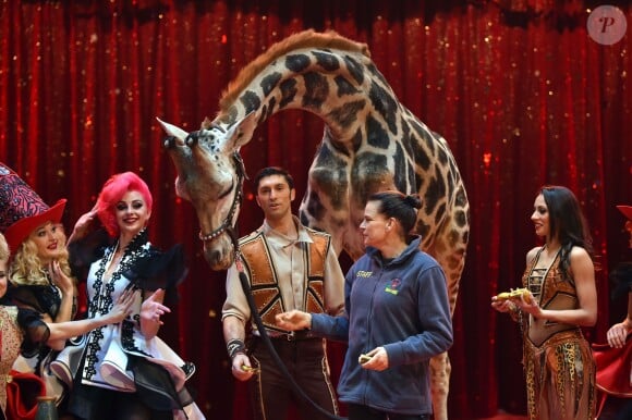 La princesse Stéphanie de Monaco, la girafe de Joseph Richter, la troupe Bingo, le duo Ballance, et M. Loyal alias Petit Gougou lors du photocall de présentation du 42ème Festival International du Cirque de Monte-Carlo sous le chapiteau de Fontvieille le 16 janvier 2018. © Bruno Bebert / Bestimage