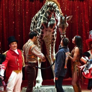 La princesse Stéphanie de Monaco, la girafe de Joseph Richter, la troupe Bingo, le duo Ballance, et M. Loyal alias Petit Gougou lors du photocall de présentation du 42ème Festival International du Cirque de Monte-Carlo sous le chapiteau de Fontvieille le 16 janvier 2018. © Bruno Bebert / Bestimage