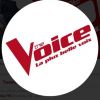 Logo de l'émission "The Voice la plus belle voix".