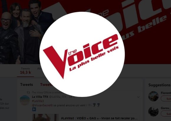 Logo de l'émission "The Voice la plus belle voix".