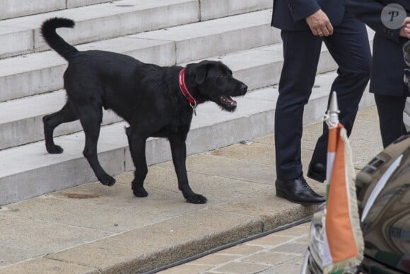 Le président Emmanuel Macron et le chien Nemo - Réunion au Palais de l'Elysée pour affirmer le soutien de l'Europe au Tchad, au Niger et à la Lybie pour le contrôle et la gestion maitrisée des flux migratoires. Paris, le 28 août 2017 © Pierre Perusseau / Bestimage French