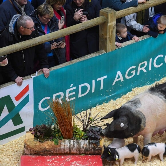 Illustration du Salon de l'Agriculture à Paris. Le 24 février 2018 © Lionel Urman / Bestimage