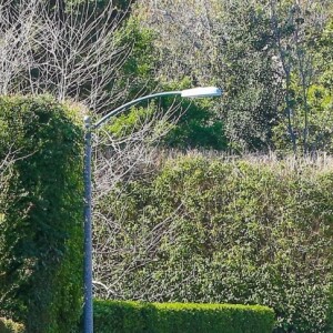 Exclusif - Un fan tente de s'inviter chez Taylor Swift. Arrêté par les agents de sécurité, ces derniers ont appelé la police. Los Angeles, le 8 avril 2018