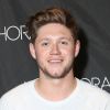 Niall Horan pose lors d'une soirée à Philadelphie, le 29 octobre 2017.