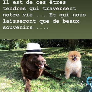La comédienne Frédérique Bel a annoncé la mort de sa chienne Dolly sur Instagram, ce 29 avril 2018.