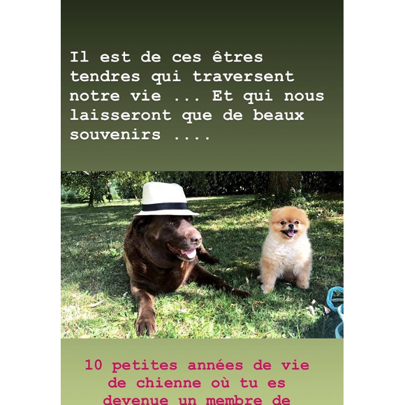 La comédienne Frédérique Bel a annoncé la mort de sa chienne Dolly sur Instagram, ce 29 avril 2018.