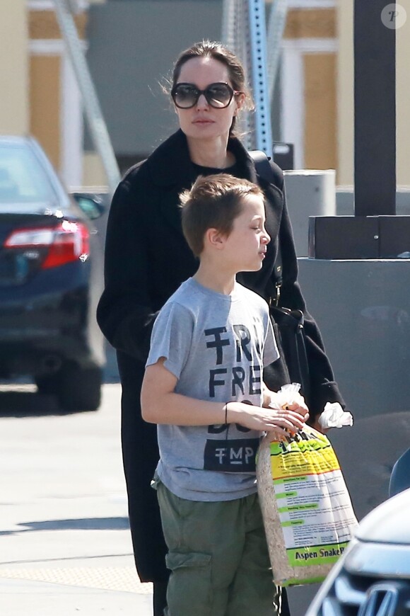 Exclusif - Angelina Jolie et son fils Knox sont allés faire des achats au magasin animalier Pet Smart à Los Angeles, le 25 mars 2018