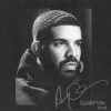 Pochette du nouvel album de Drake, "Scorpion", prévu le 29 juin 2018. Dans les chansons "Emotionless" et "March 14", le rappeur canadien confirme être le père d'un enfant caché, Adonis. Le garçonnet a pour maman Sophie Brussaux, ex-actrice de charme reconvertie en artiste-peintre.