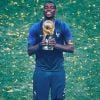 Paul Pogba sacré champion du monde avec l'équipe de France - 15 juillet 2018