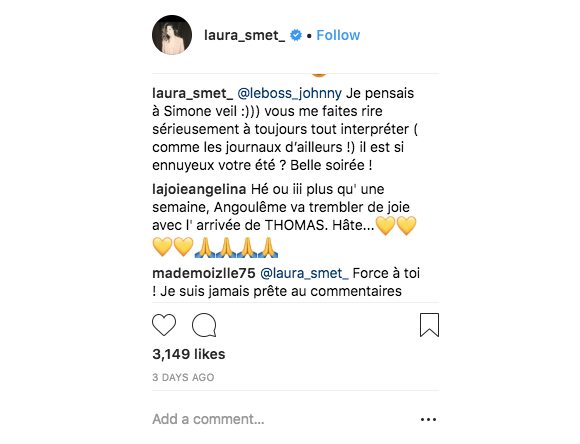 Laura Smet et Benjamin Biolay répondent en choeur à un fan de Johnny mal intentionné. Sur Instagram, le 13 août 2018.