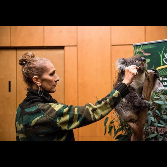 Céline Dion lors de sa tournée en Australie, août 2018