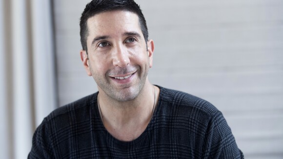 David Schwimmer : Son sosie arrêté, la police lui adresse un message spécial