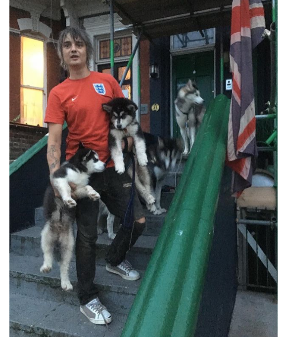 Pete Doherty et ses chiens. Novembre 2018.
