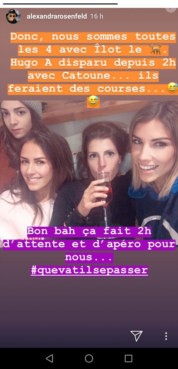 Extrait de la story d'Alexandra Rosenfeld pour son anniversaire, le 23 novembre 2018.
