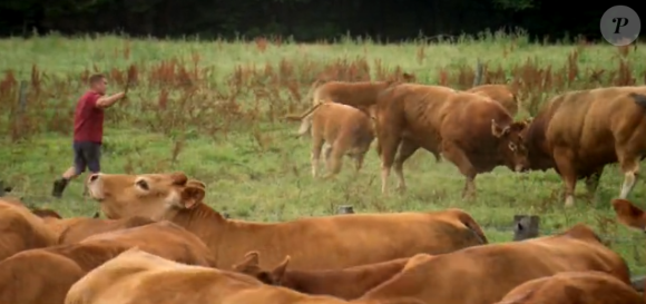 Fabrice, agriculteur de 41 ans dans la version belge de "L'amour est dans le pré".