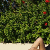 Vanessa Ponce de Leon, Miss Monde 2018, en maillot de bain près d'une piscine - Instagram, 6 juillet 2018
