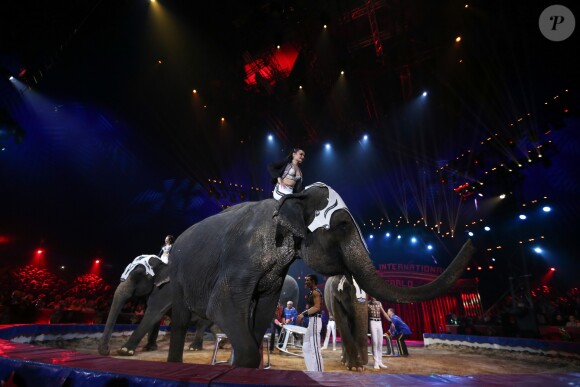 Les éléphants lors de la 43ème édition du festival international du cirque de Monte-Carlo le 18 janvier 2019. © Olivier Huitel