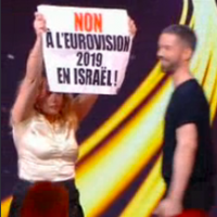 Destination Eurovision 2019 : Des manifestants envahissent la scène en direct