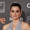 Penélope Cruz, somptueuse perdante avant "Douleur et gloire"