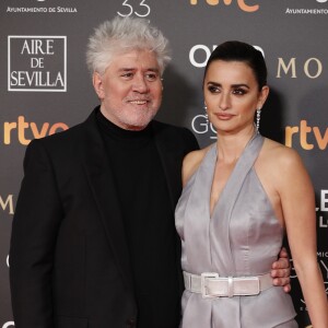 Pedro Almodovar et Penélope Cruz lors de la 33e cérémonie des Goya, récompenses du cinéma espagnol à Séville, le 2 février 2019